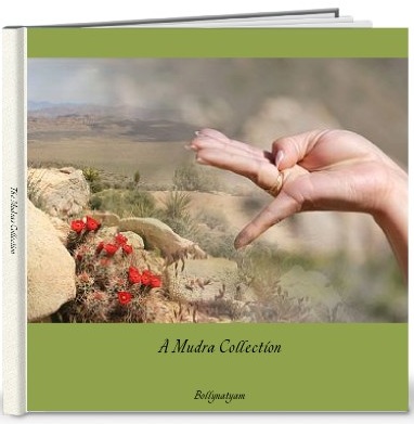 cover of mudra book